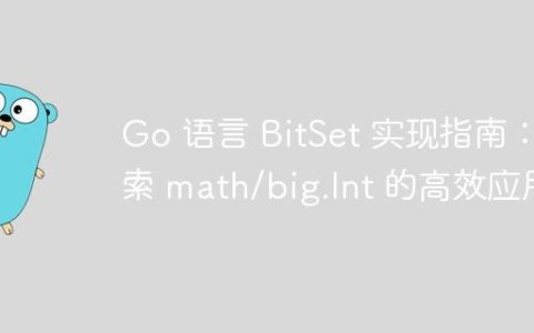 Go 语言 BitSet 实现指南：探索 math/big.Int 的高效应用