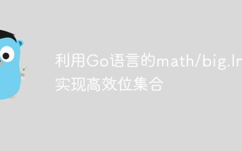 利用Go语言的math/big.Int实现高效位集合