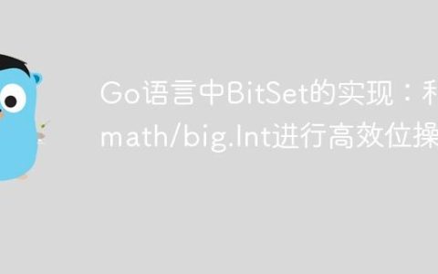 Go语言中BitSet的实现：利用math/big.Int进行高效位操作