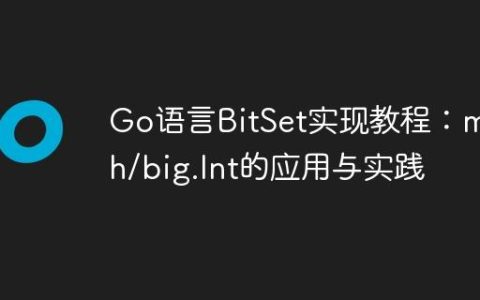 Go语言BitSet实现教程：math/big.Int的应用与实践