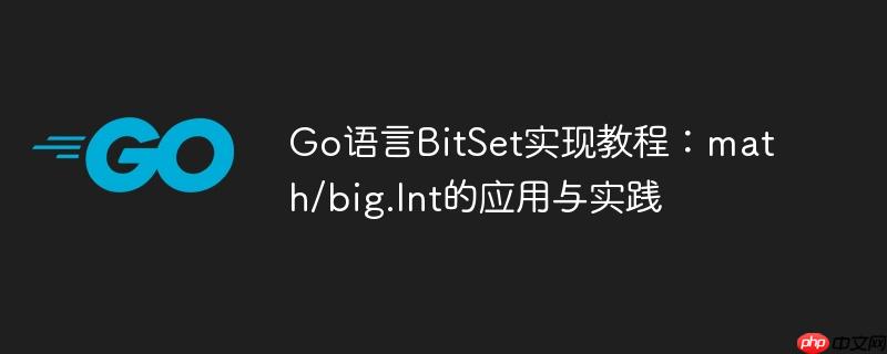 go语言bitset实现教程:math/big.int的应用与实践