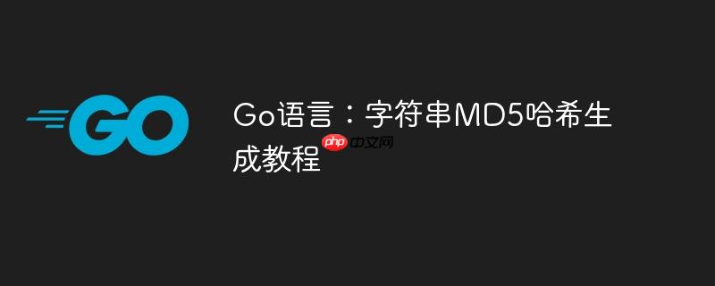 Go语言:字符串MD5哈希生成教程