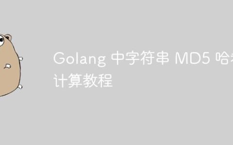 Golang 中字符串 MD5 哈希计算教程