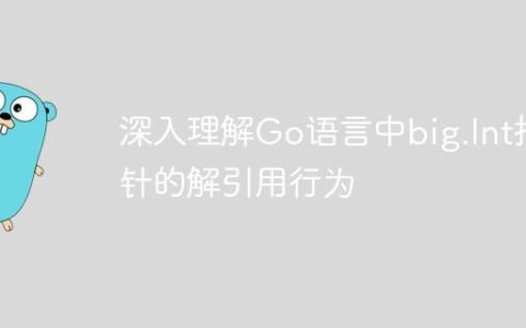 深入理解Go语言中big.Int指针的解引用行为