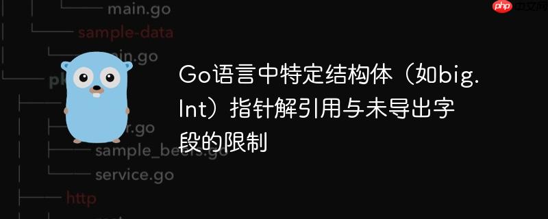 Go语言中特定结构体(如big.Int)指针解引用与未导出字段的限制