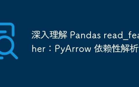 深入理解 Pandas read_feather：PyArrow 依赖性解析