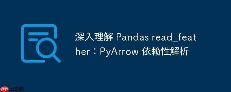 深入理解 Pandas read_feather:PyArrow 依赖性解析