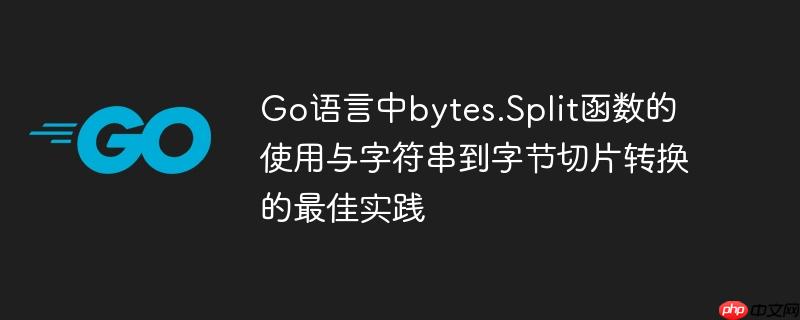 Go语言中bytes.Split函数的使用与字符串到字节切片转换的最佳实践