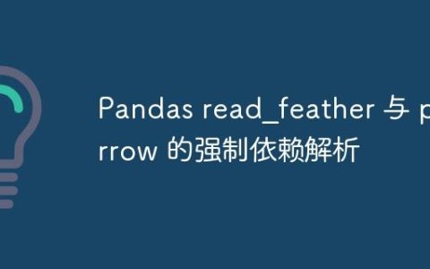 Pandas read_feather 与 pyarrow 的强制依赖解析