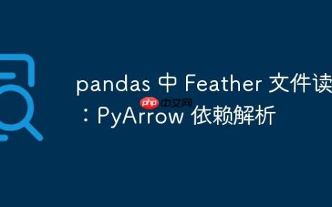 pandas 中 Feather 文件读写：PyArrow 依赖解析