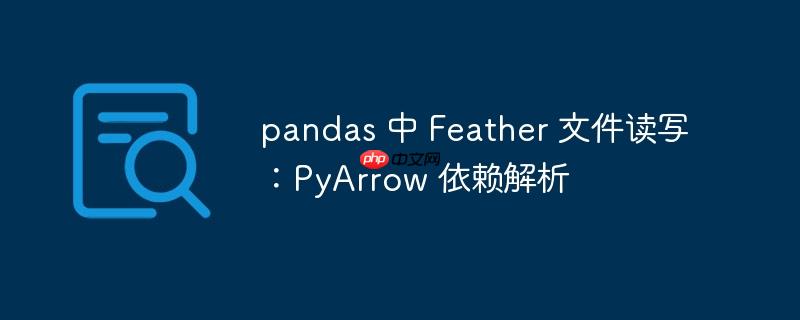 pandas 中 Feather 文件读写:PyArrow 依赖解析