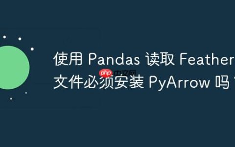 使用 Pandas 读取 Feather 文件必须安装 PyArrow 吗？
