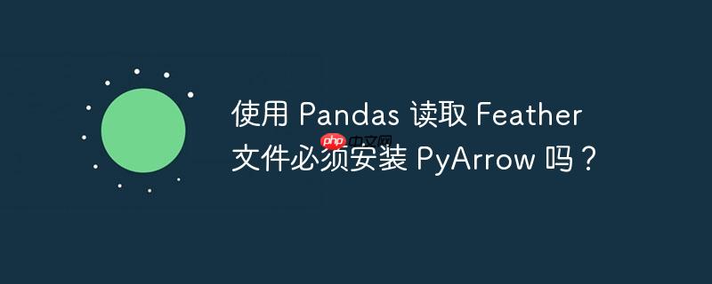 使用 pandas 读取 feather 文件必须安装 pyarrow 吗?