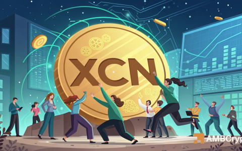 鲸鱼、黑曜石币（XCN）价格：大规模突破即将到来？