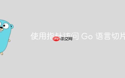 使用指针访问 Go 语言切片