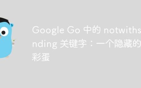 Google Go 中的 notwithstanding 关键字：一个隐藏的彩蛋