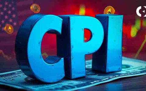 CPI数据、波动性与美国经济：应对不确定性