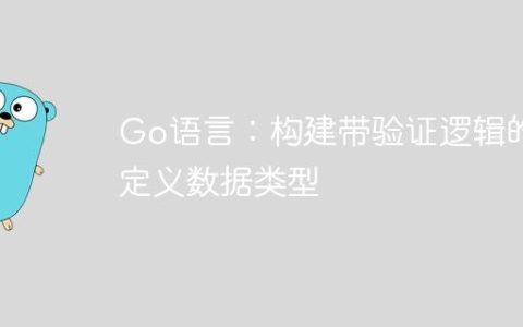 Go语言：构建带验证逻辑的自定义数据类型