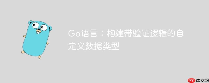 Go语言:构建带验证逻辑的自定义数据类型
