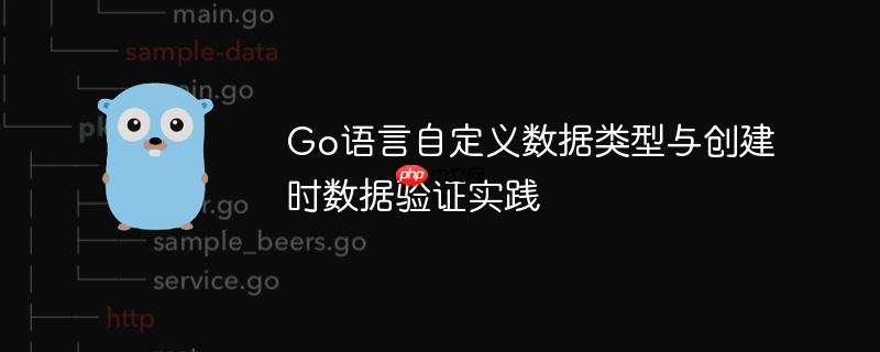 Go语言自定义数据类型与创建时数据验证实践