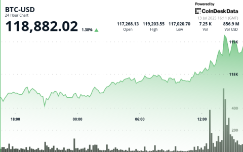 BTC、XLM、HBAR：在不夜城中驾驭加密货币浪潮