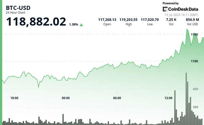 BTC、XLM、HBAR:在不夜城中驾驭加密货币浪潮