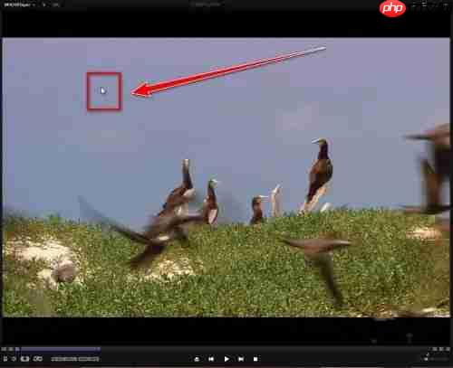 kmplayer plus如何加速?kmplayer plus加速的操作方法