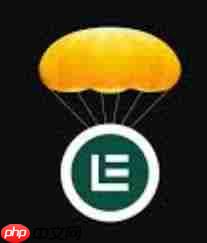 layer币是什么