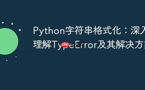 Python字符串格式化：深入理解TypeError及其解决方案