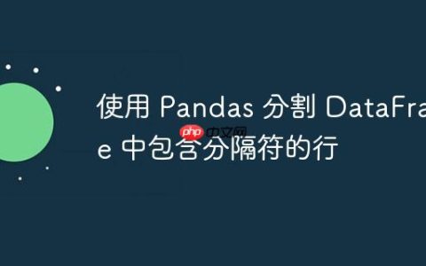使用 Pandas 分割 DataFrame 中包含分隔符的行