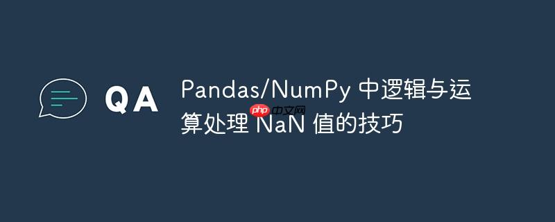 pandas/numpy 中逻辑与运算处理 nan 值的技巧