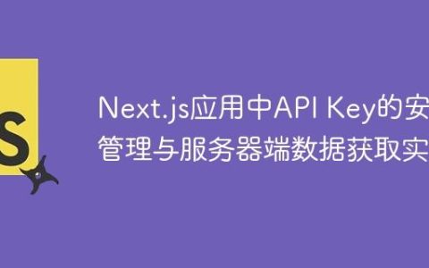 Next.js应用中API Key的安全管理与服务器端数据获取实践