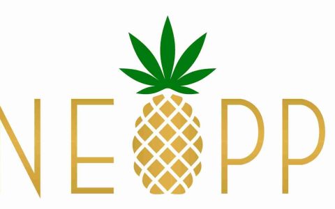菠萝公司、真实世界资产与知识产权：一个通证化的未来？