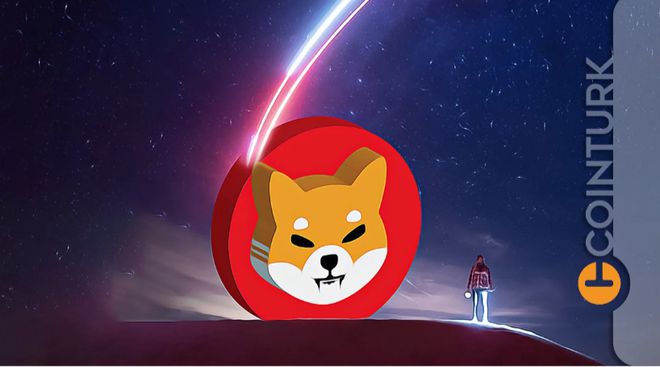 想投资MEME币?Doge、Shib、Pepe买哪个好?(2025深度分析) - 创想鸟