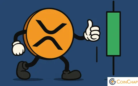 XRP的价格发现：乘势上涨？