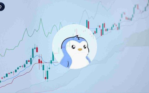 PENGU 的崛起：积累区突破目标价 0.045 美元——新的模因币之王？