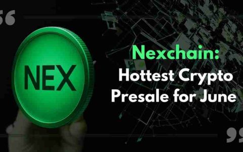 Solaxy、Nexchain 与加密货币预售市场：当下热门一览