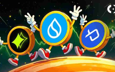 Sui 生态系统：山寨币收益与值得关注的顶级表现者