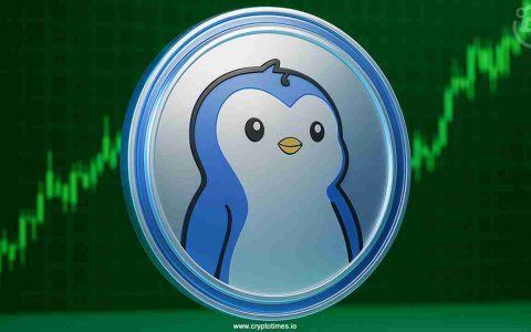 Pudgy Penguins、Suplay Inc 与 PENGU 代币：一场 Web3 的变革