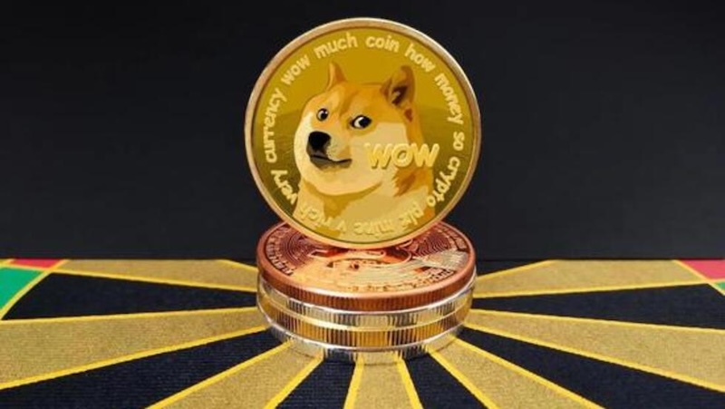 2025狗狗币DOGE值得买吗?还能不能继续涨? - 创想鸟
