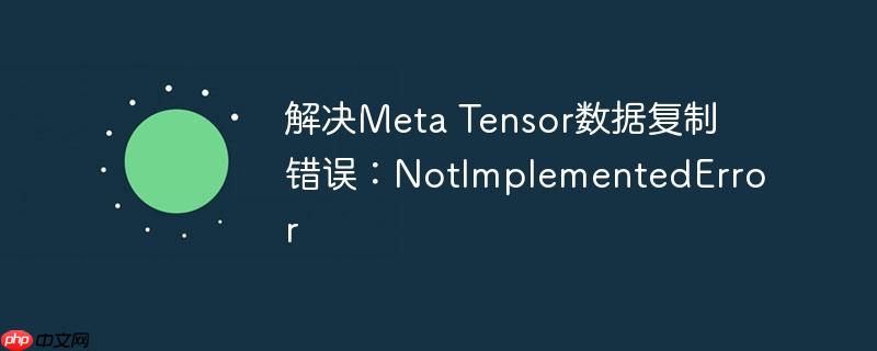 解决meta tensor数据复制错误:notimplementederror