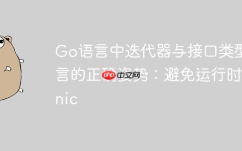 Go语言中迭代器与接口类型断言的正确姿势：避免运行时Panic
