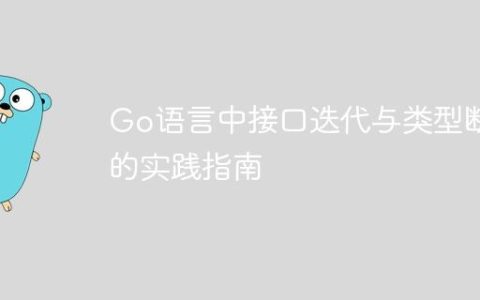 Go语言中接口迭代与类型断言的实践指南