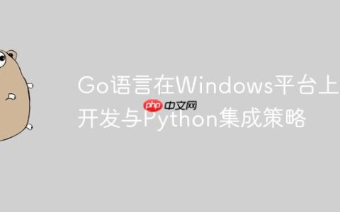 Go语言在Windows平台上的开发与Python集成策略