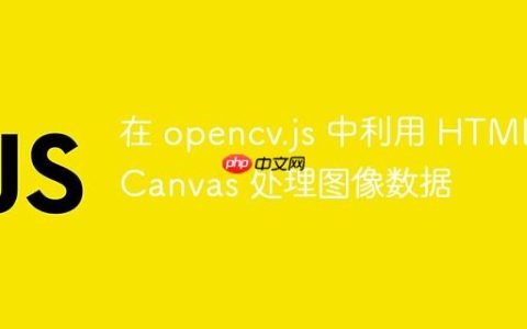 在 opencv.js 中利用 HTML Canvas 处理图像数据