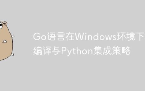 Go语言在Windows环境下的编译与Python集成策略