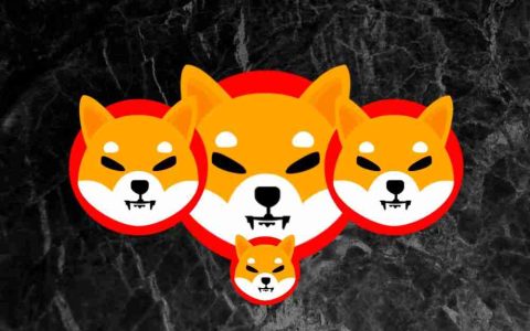SHIB价格飙升：柴犬币的月度增长能否实现一美分梦想？