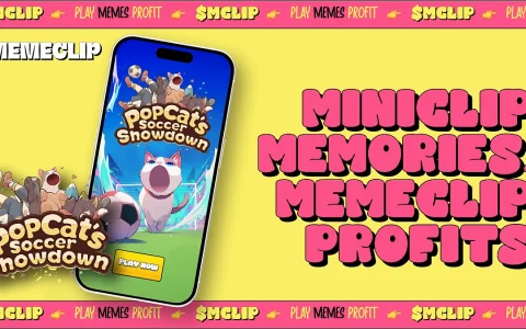MemeCoin狂热：下一个趣味代币能否带来1000倍收益？
