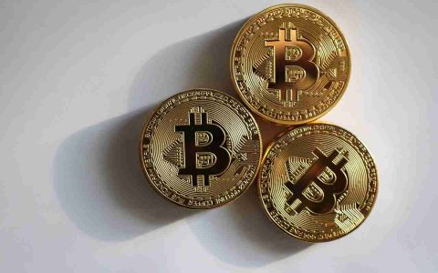 比特币：终极抗通胀工具？投资者圈内人士发表看法