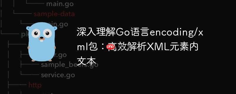 深入理解Go语言encoding/xml包:高效解析XML元素内文本